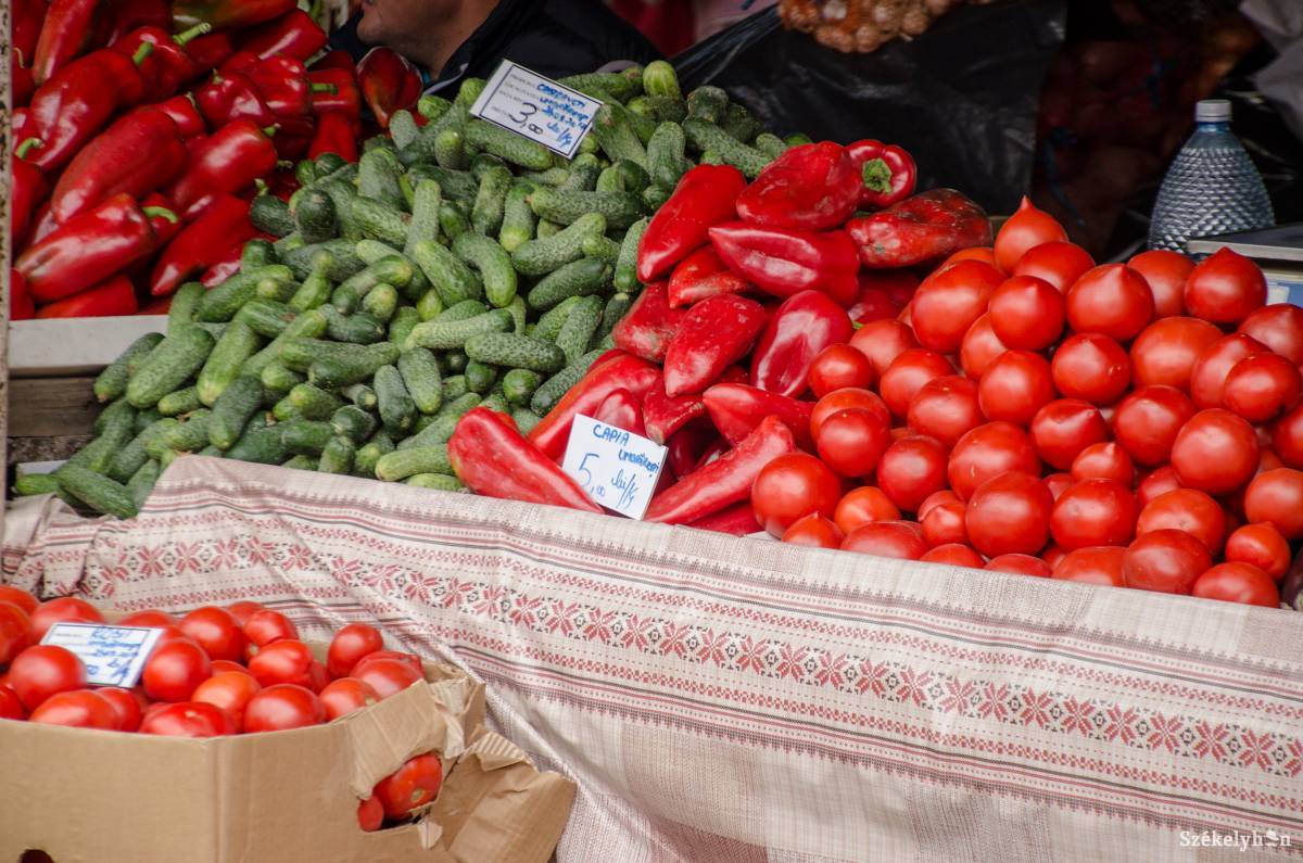 •  Fotó: Gecse Noémi