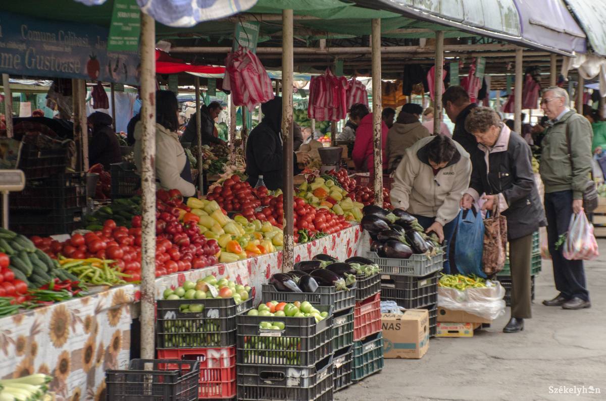 •  Fotó: Gecse Noémi