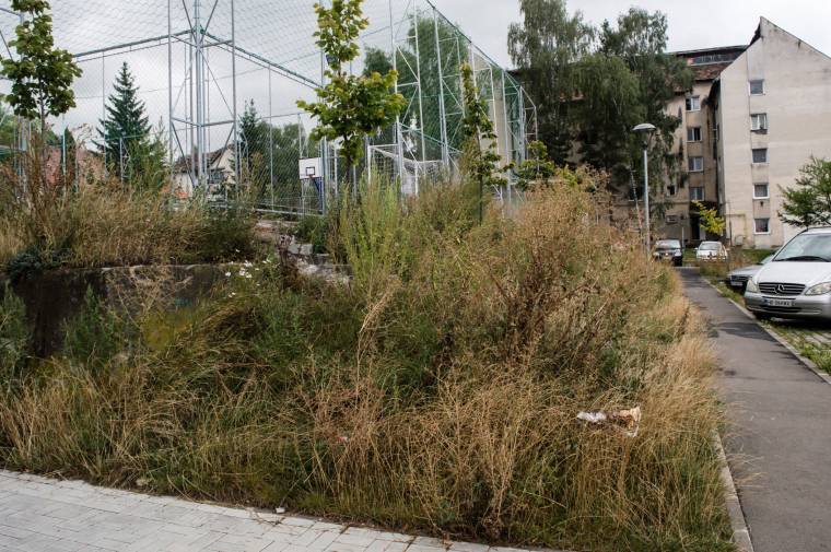 Benőtte a gaz a Gyermek sétány zöldövezeteinek egy részét – lekaszálják