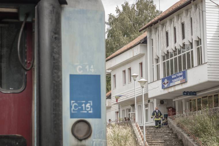 Medvét ütött el a vonat Tusnádfürdőn, elpusztult a vadállat