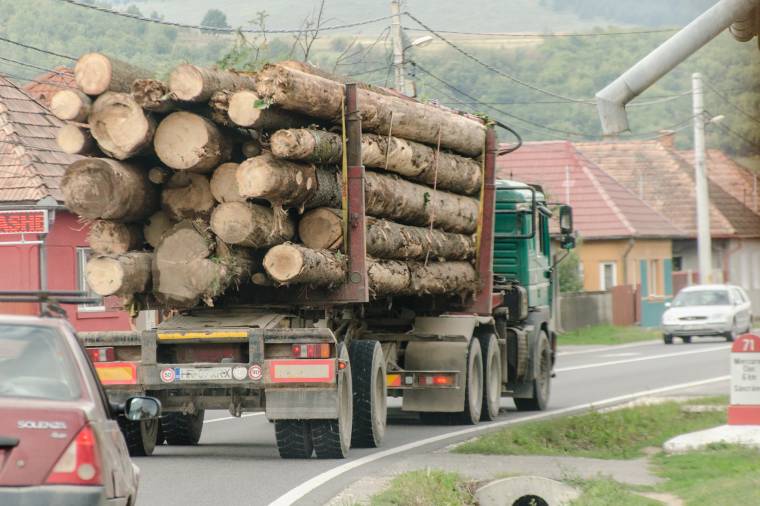 Drasztikusan megdrágult a tűzifa is: az áfacsökkentés nyomán visszaeshetnek az amúgy már csökkenésnek indult árak
