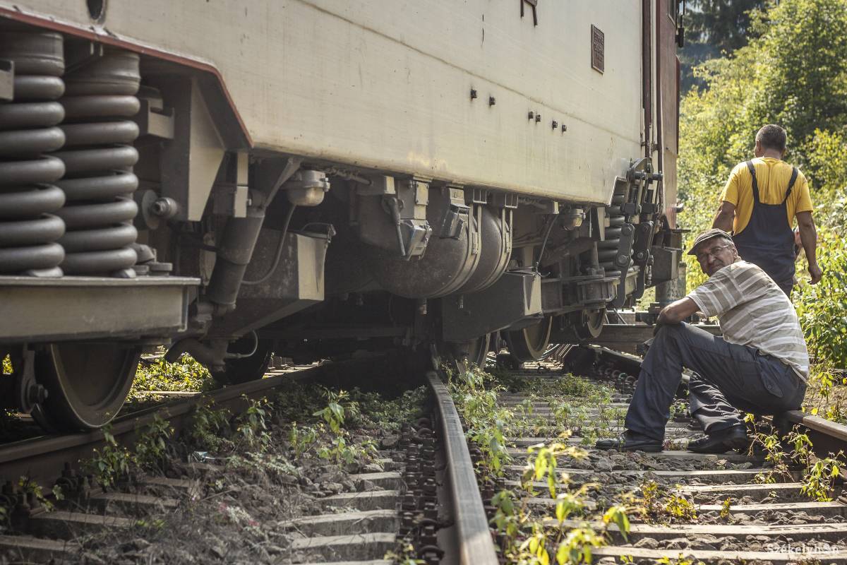 Archív &bullet;  Fotó: Pinti Attila