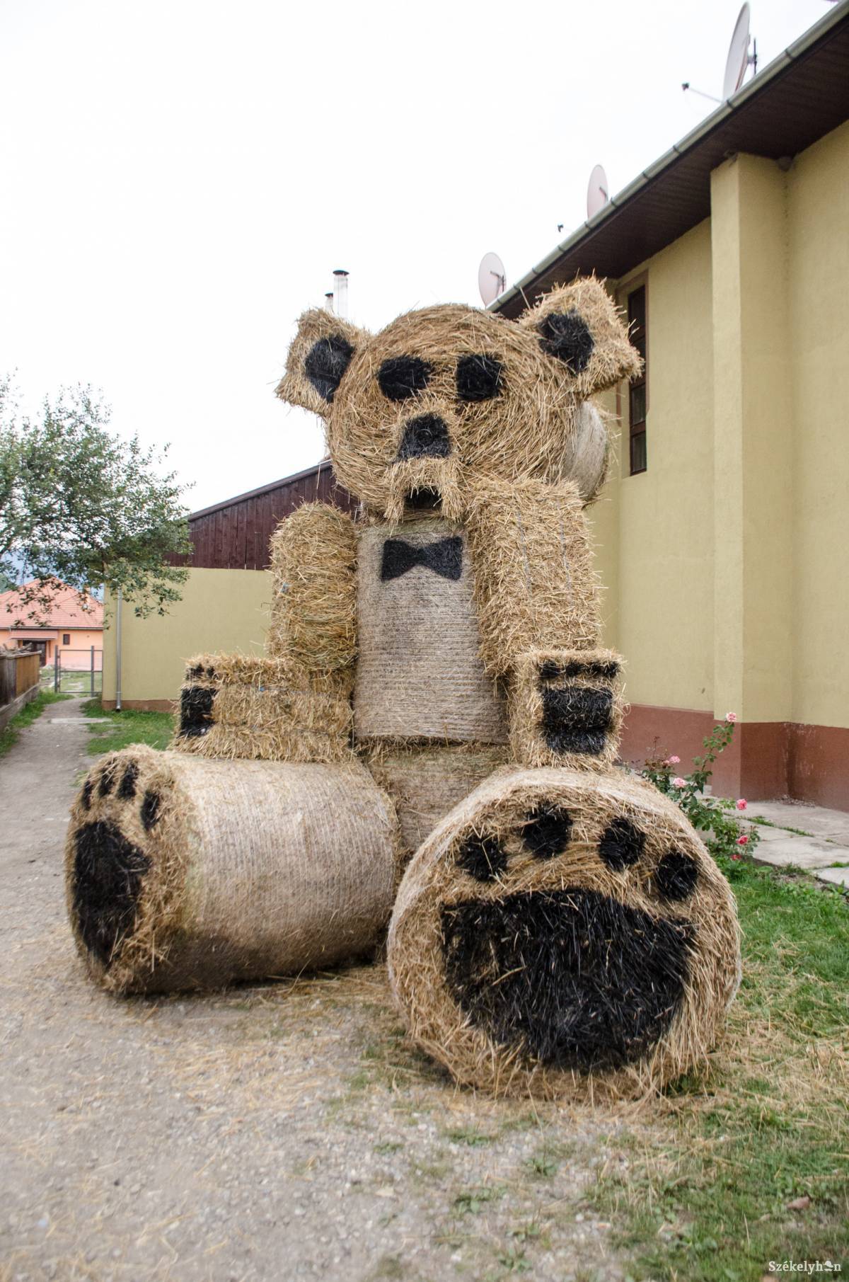 •  Fotó: Sándor Csilla