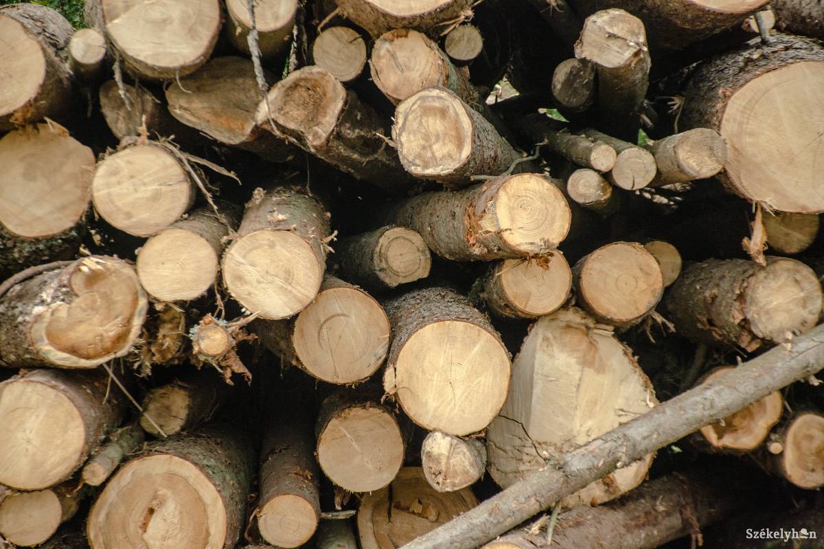 Képünk illusztráció •  Fotó: Gecse Noémi