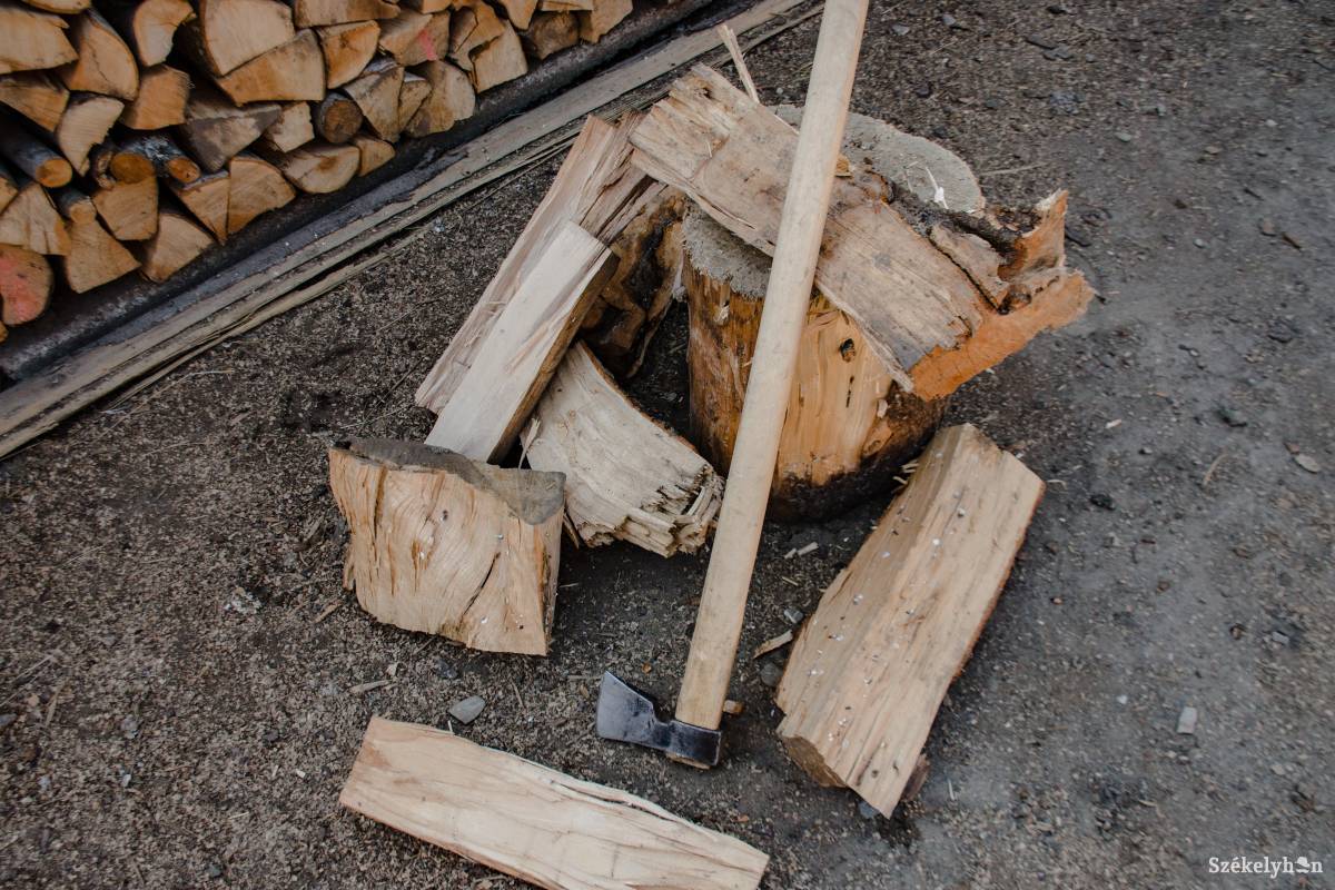 Illusztráció • Fotó: Gecse Noémi