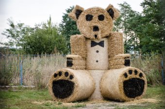 Rittyeg a feje: csíkszentsimoni és csatószegi szólások nyomában