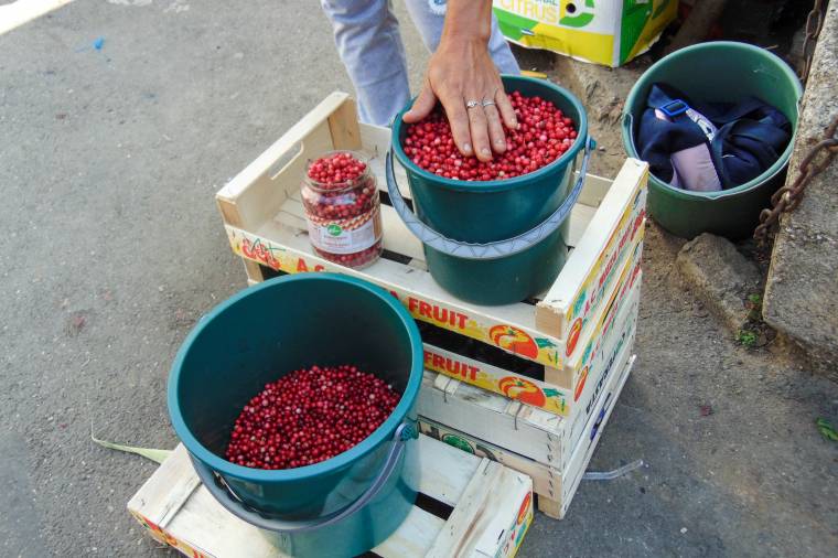 Alkalmi piaci árusok „törvényen kívül”