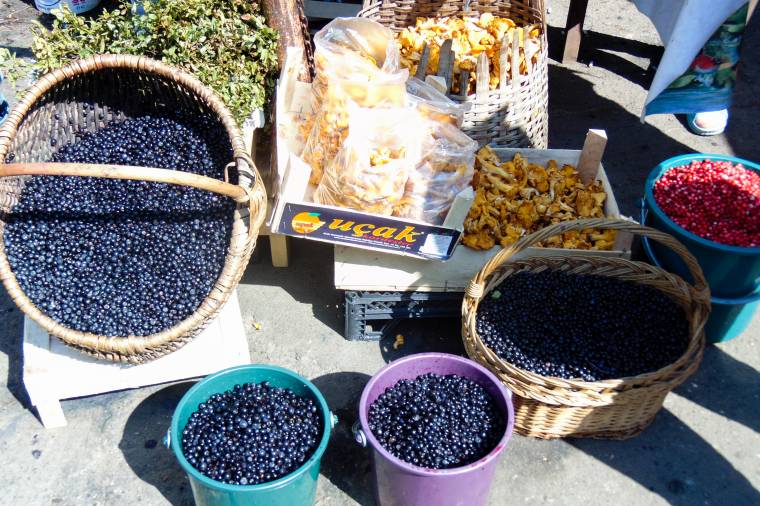 Áfonya bőven, gomba viszont kevés termett idén a Madarasi Hargitán