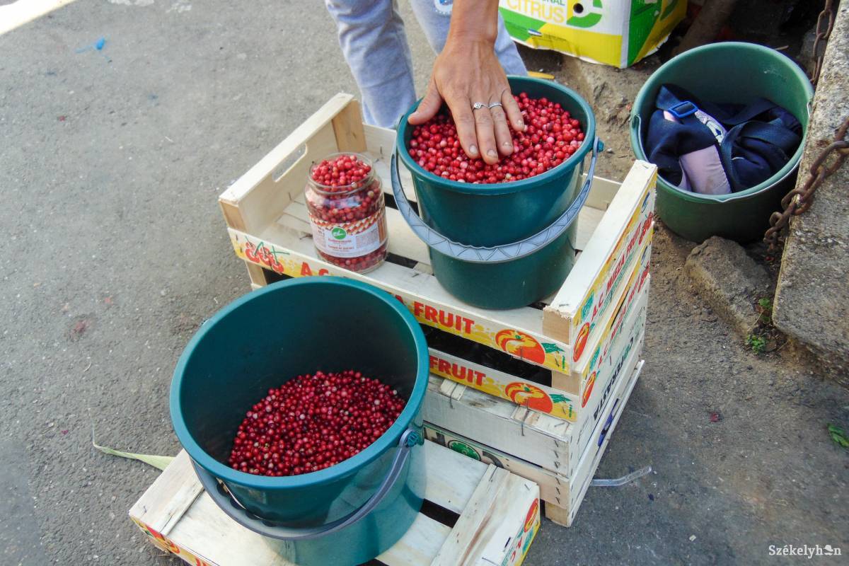 Az alkalmi árusoknak csak egy kis részével vannak gondok, ők viszont jól ismerik a törvény kiskapuit • Fotó: Balogh Orsolya