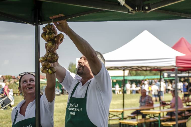 Hagymafesztiválra készülnek Madéfalván
