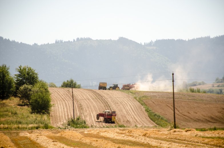 Háromszéken szép a határ, más problémáik vannak most a gazdáknak