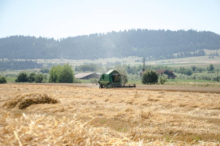 Betakarították már a búzát, árpát, rozsot, zabot