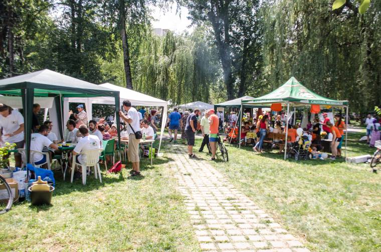 Pityókafesztivál: ahol a főzés mellett a találkozás a legfontosabb
