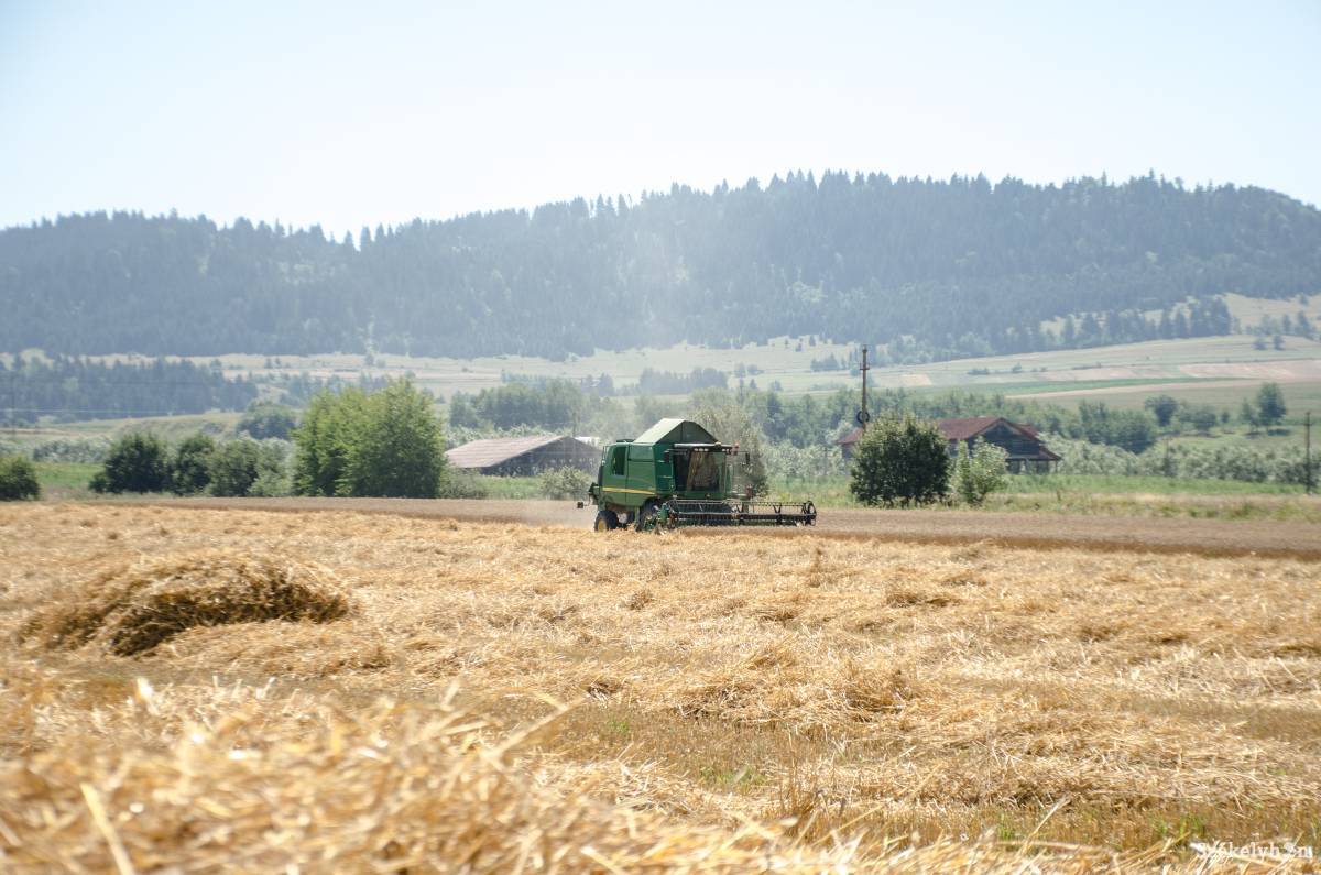 A megye minden szegletében vannak ellenőrzésre kijelölt gazdák, de nagyobb részük – a 252-ből 132 – csíkszéki