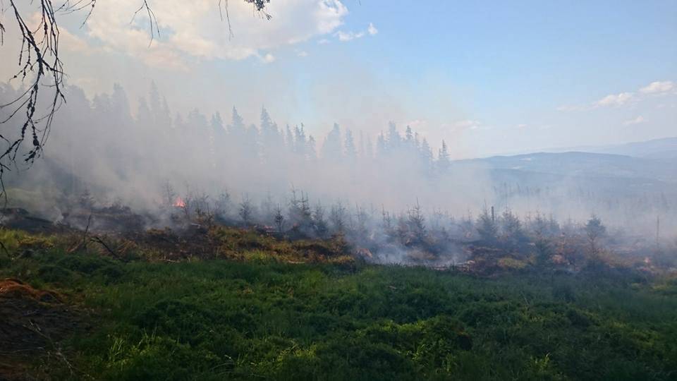 •  Fotó: Hargita megyei tűzoltóság