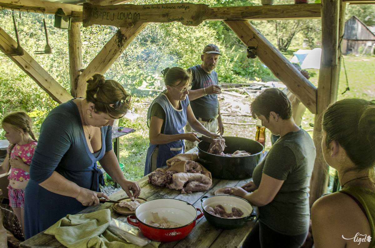 Gasztrótábor minden egyéb extrával •  Fotó: Pinti Attila