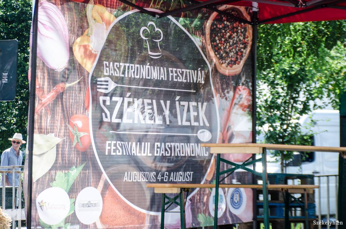 Illusztráció •  Fotó: Gecse Noémi