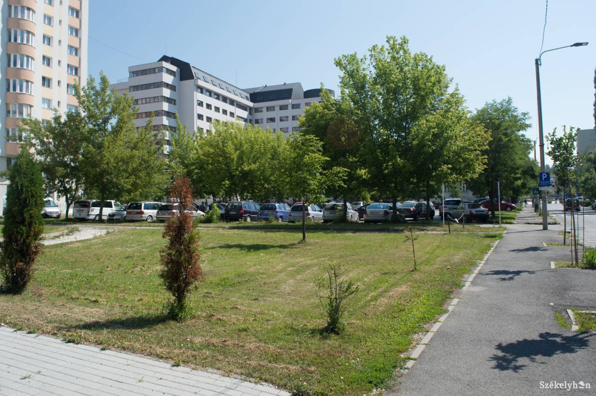 A Sapientia egyetem mögötti parkolóban tartják meg az első Székely Ízek Gasztronómiai Fesztiválját •  Fotó: Sándor Csilla