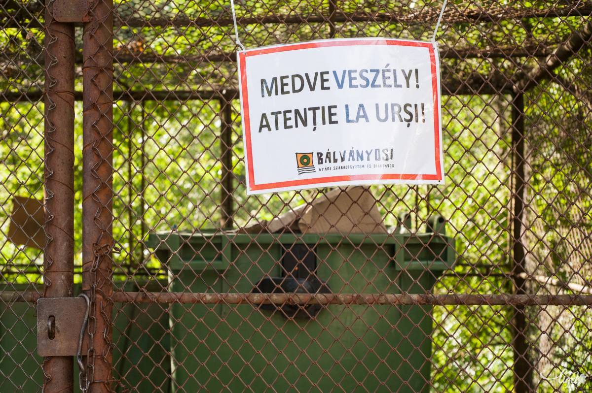 Sokan tényleg félnek a medvéktől, s nem hiába. Ezt a kérdést rendezni kell •  Fotó: Gecse Noémi