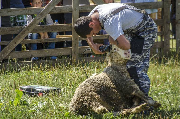 Megnövekedett az érdeklődés, meghosszabbították a kérelmezési határidőt