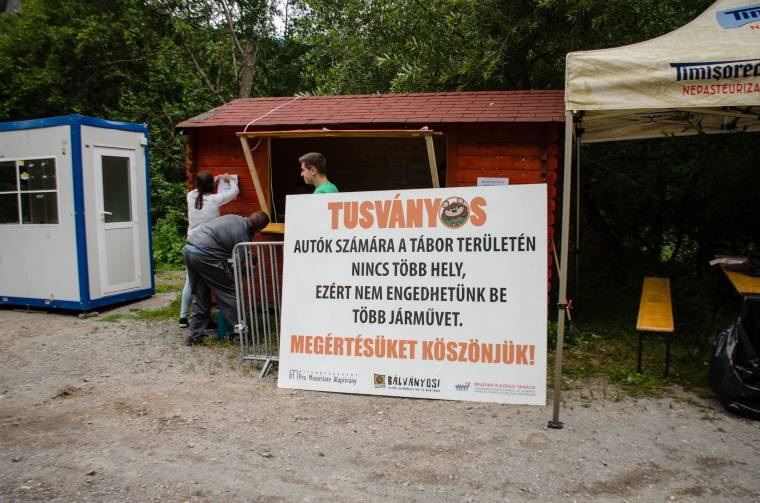 Tusványos: három medvét helyeztek át más területre a fesztiválozók biztonsága érdekében