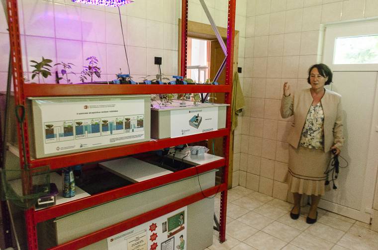 Tanítási célra használják az akvapóniás technológiát