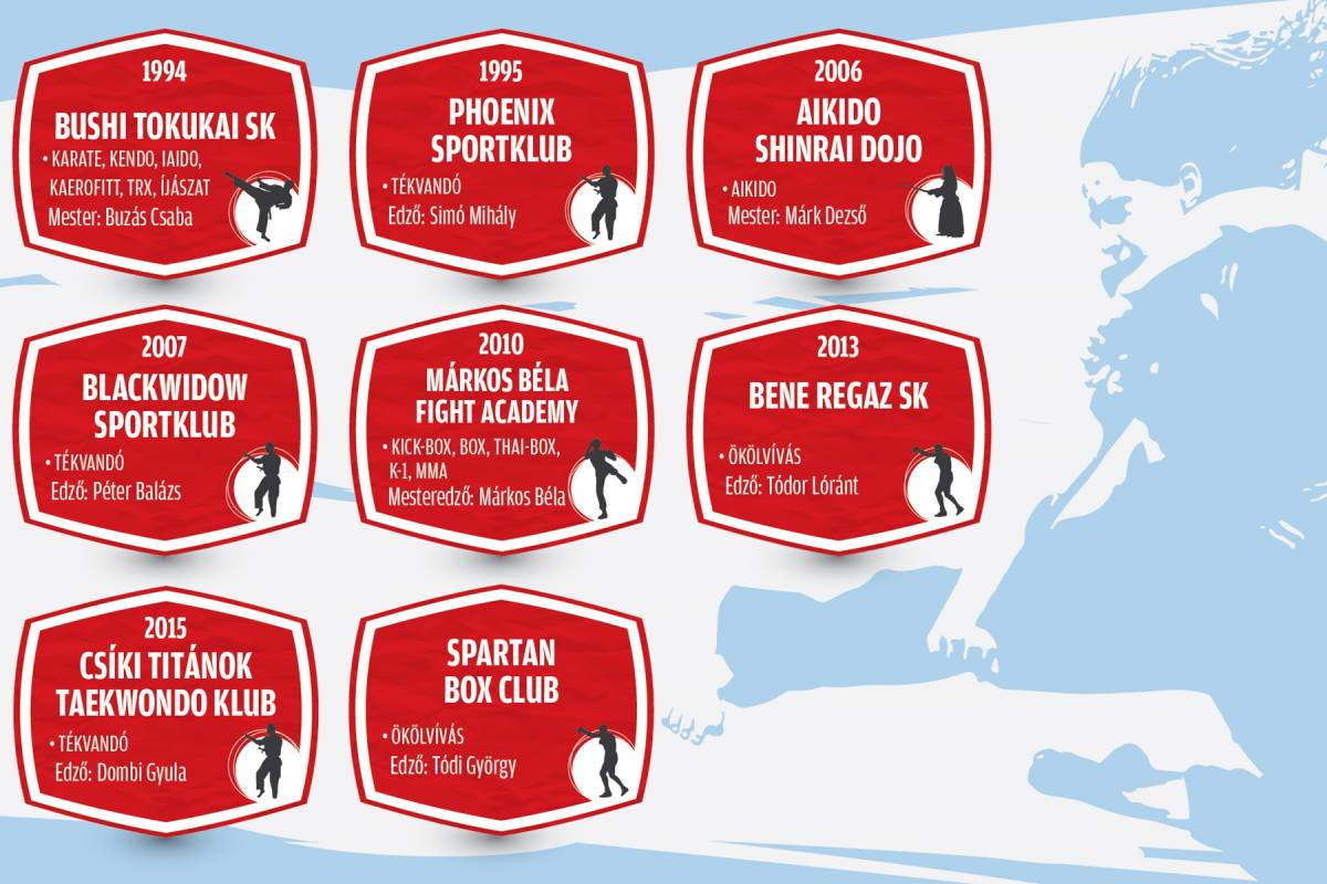 A csíkszeredai küzdősportok. Szerteágazó tevékenységek. Infografika: Tóth Szilárd 
