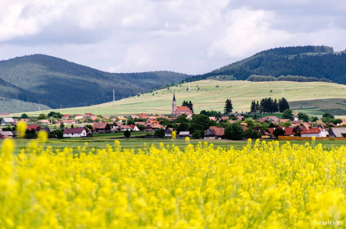 Az országos átlag fölött. A jelenlegi ütemben a hónap végéig befejeződik a mezőgazdasági támogatások igénylése Hargita megyében