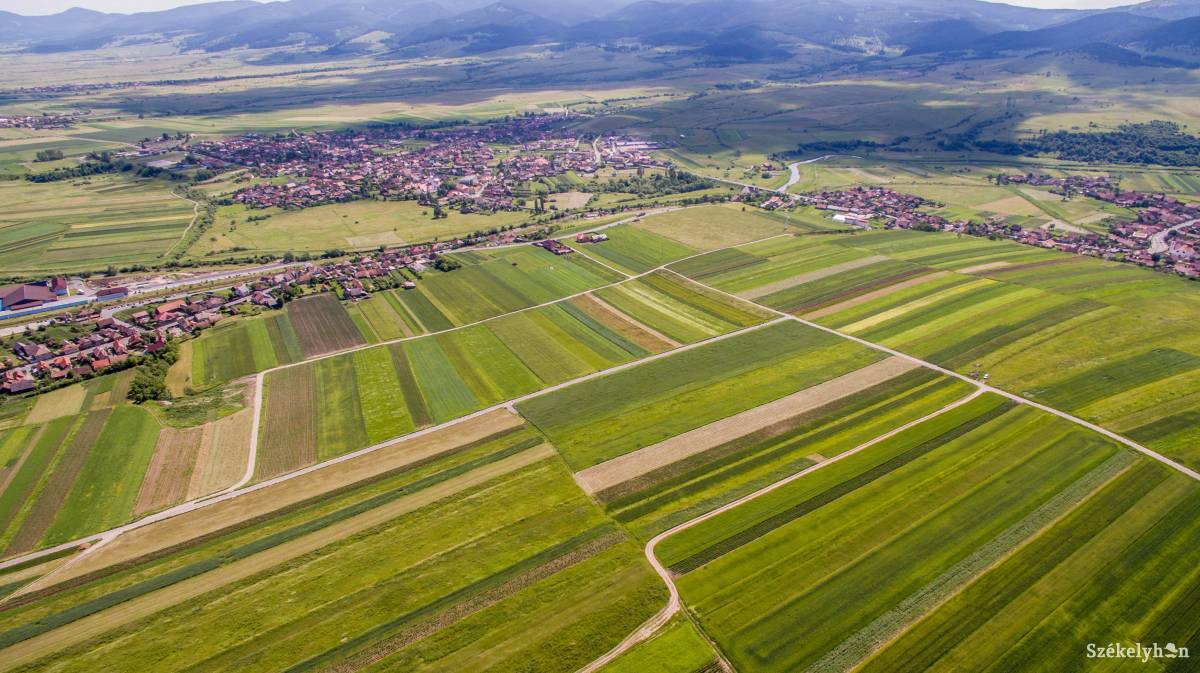 Egész nyáron zajlik a több ezer földterület szemrevételezése •  Fotó: Farkas Tamás