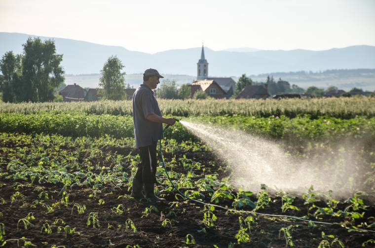 Tizenkilenc szórófejre 340 gazda csatlakoztathatja rá locsolócsövét a szépvízi Nád-dűlőben