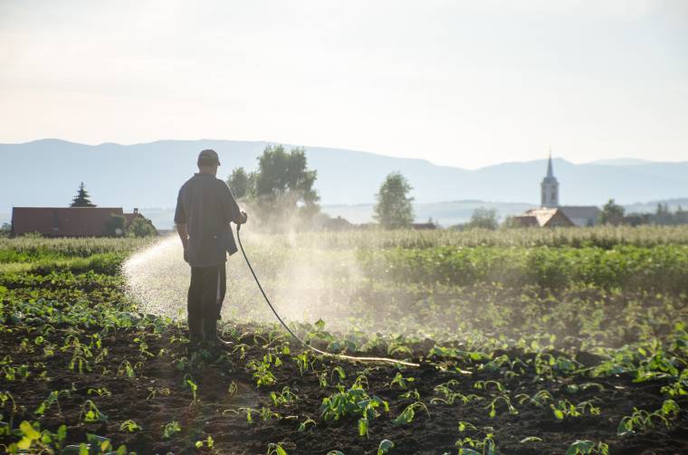 Sok helyen csapvízzel öntözik a veteményeseket, ez pedig fennakadást okoz az ivóvízellátásban