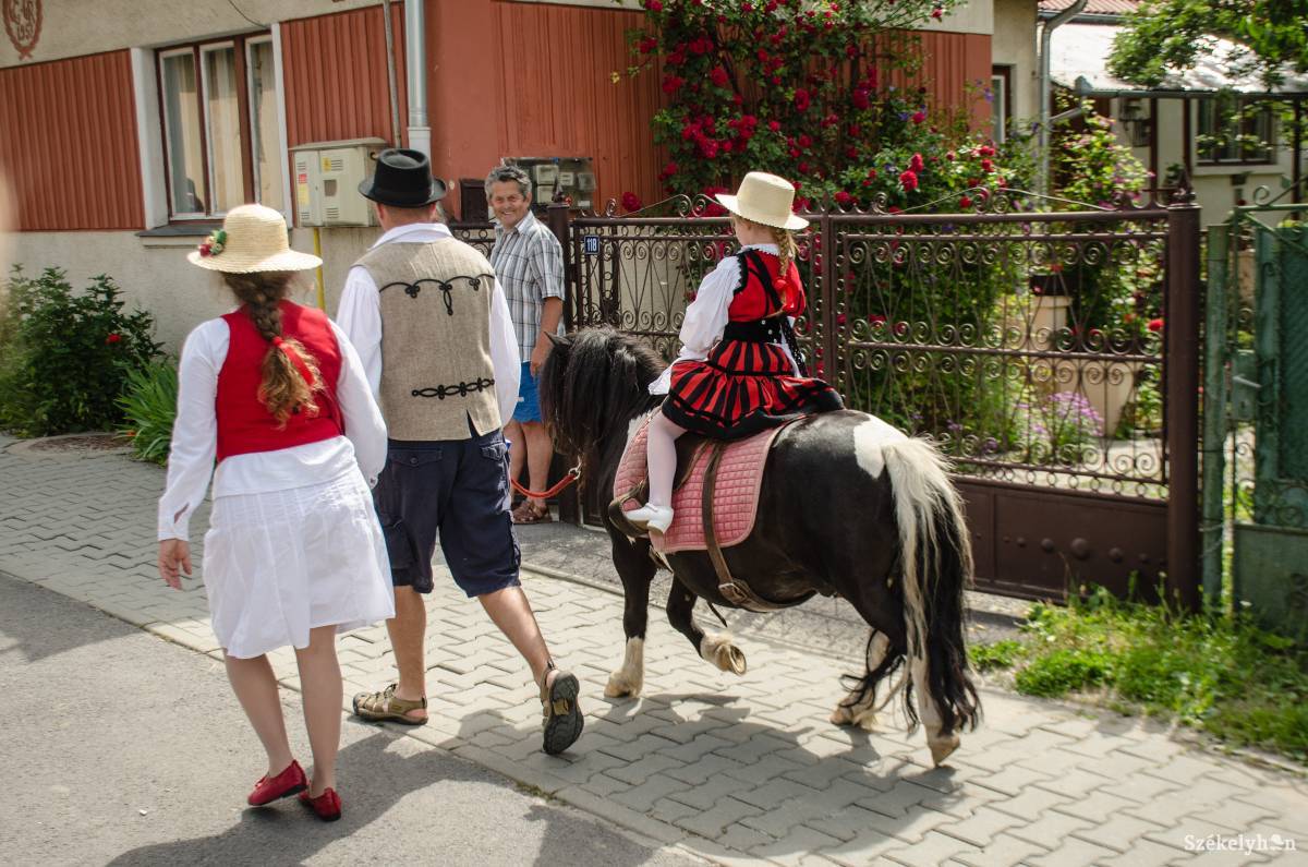 •  Fotó: Gecse Noémi