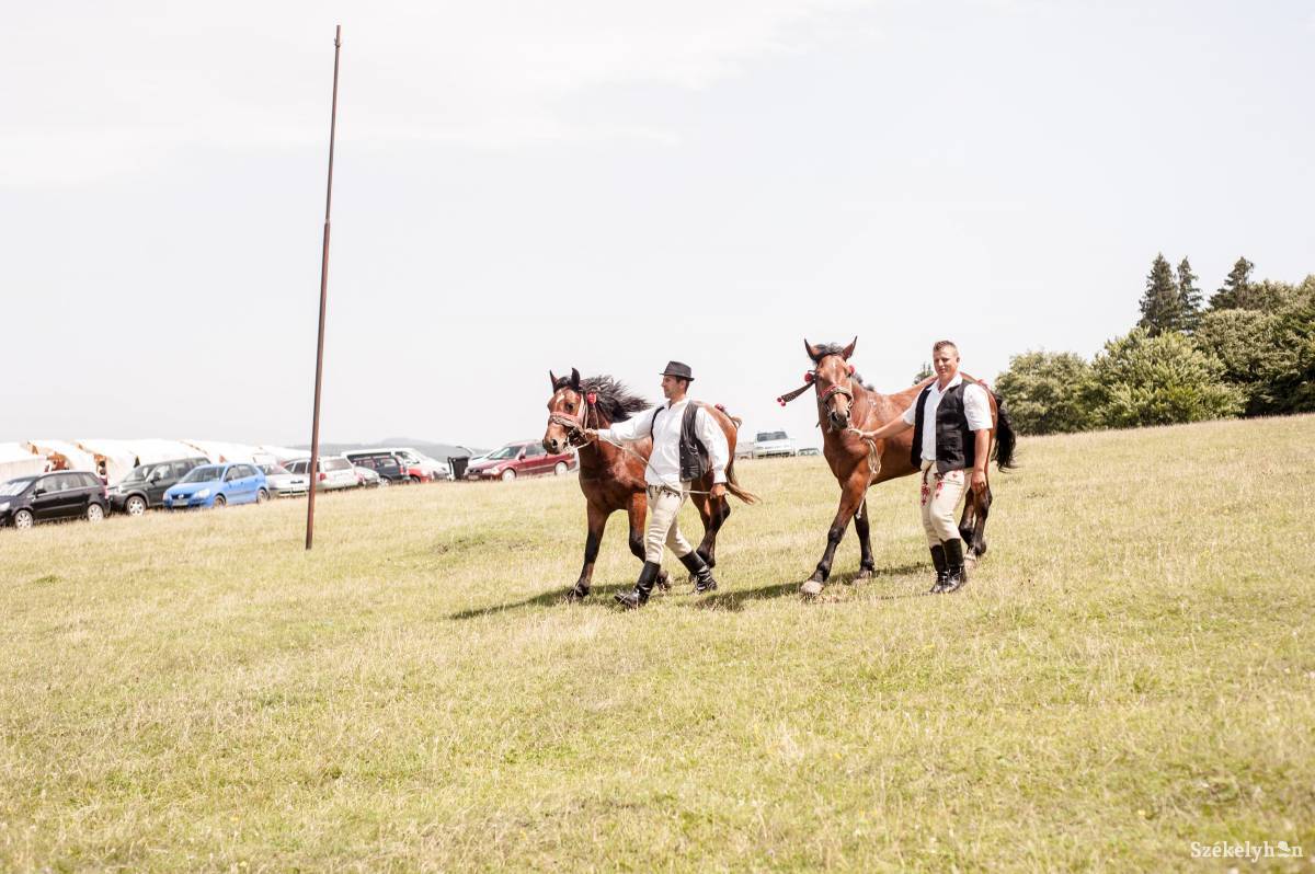 •  Fotó: Gecse Noémi