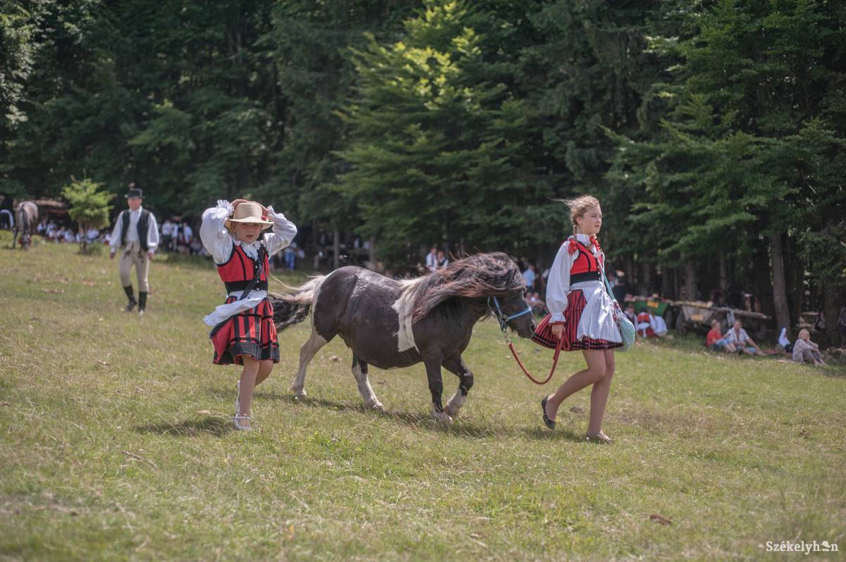 •  Fotó: Gecse Noémi