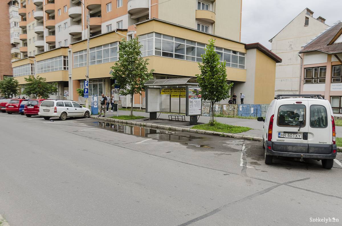 Üresen hagyott buszmegálló a csíkszeredai Kossuth Lajos utcában. Jó látni •  Fotó: Gecse Noémi