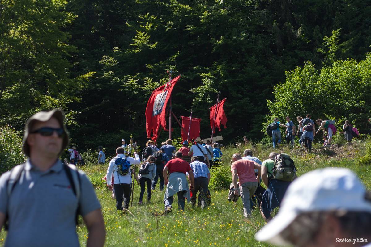 •  Fotó: Tamás Attila