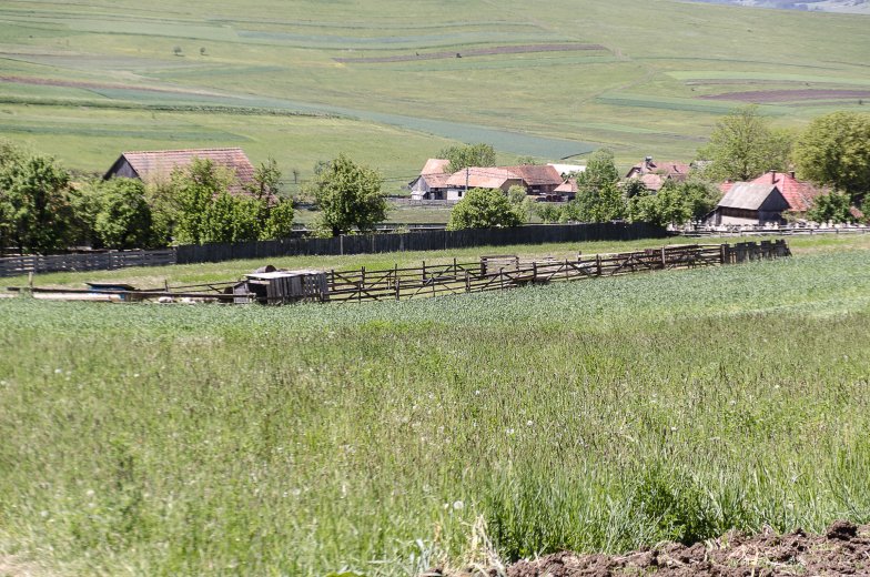Nem medve, de vadállat miatt küldtek riasztást