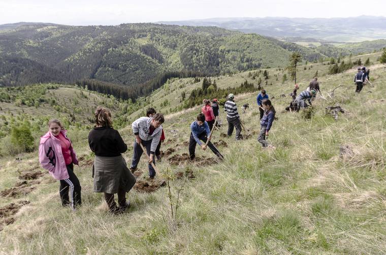 Begyógyítják a hegyoldal erdőtűz okozta sebeit