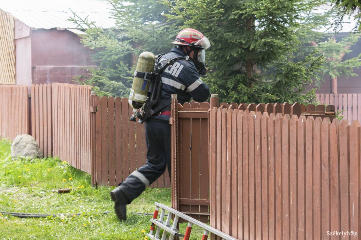 •  Fotó: Gegő Imre
