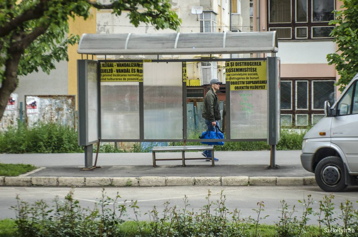 •  Fotó: Pinti Attila