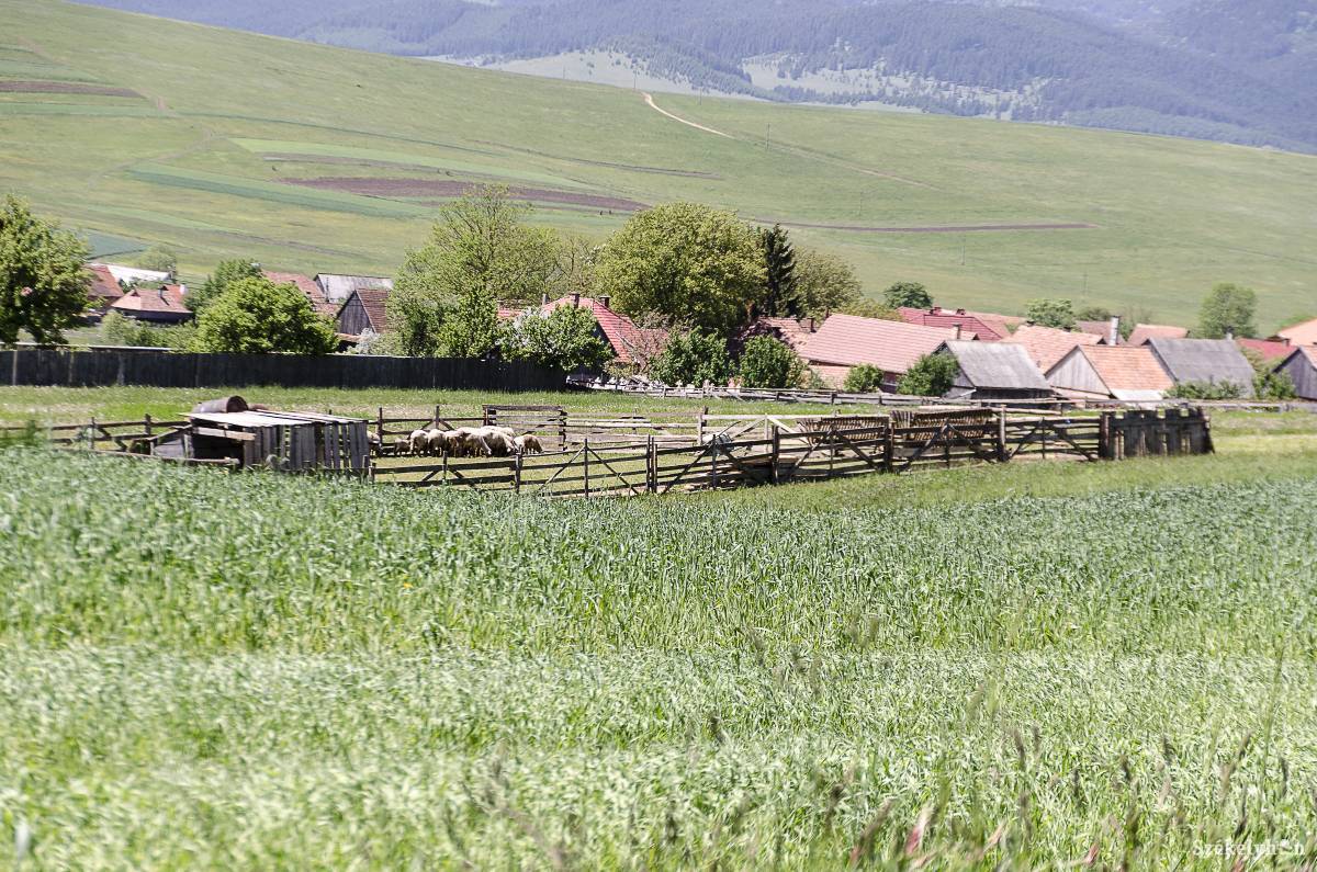 Juhkarám lakott terület közvetlen közelében. Zavarhatják a lakókat •  Fotó: Gecse Noémi