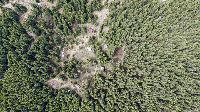 Jogerősen leállították egy Arad megyei falu teljes területének visszaszolgáltatását