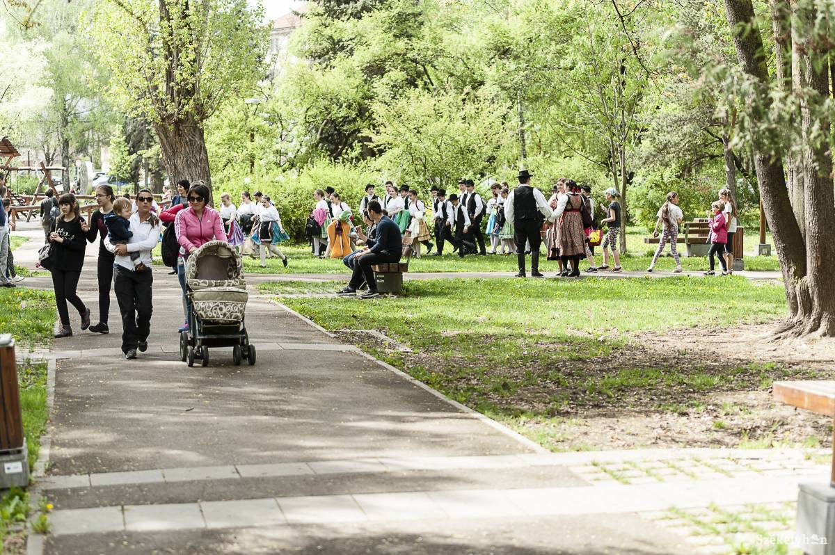 •  Fotó: Gecse Noémi