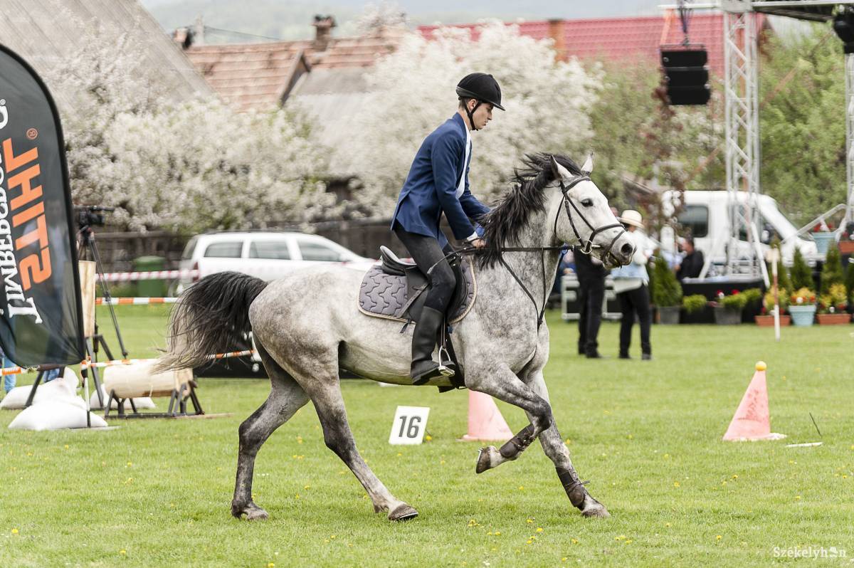 &bullet;  Fotó: Gecse Noémi
