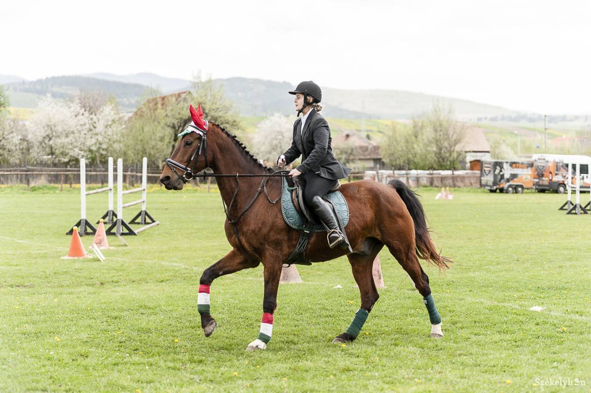 &bullet;  Fotó: Gecse Noémi