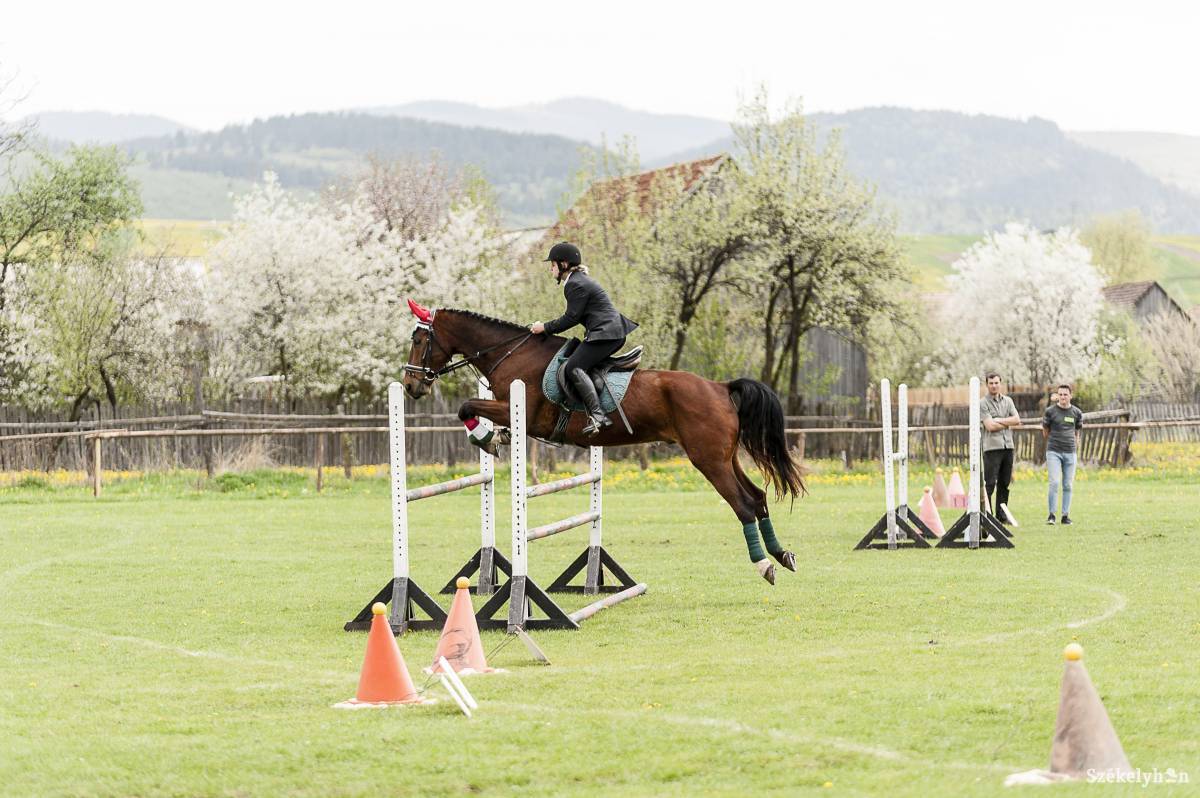 &bullet;  Fotó: Gecse Noémi