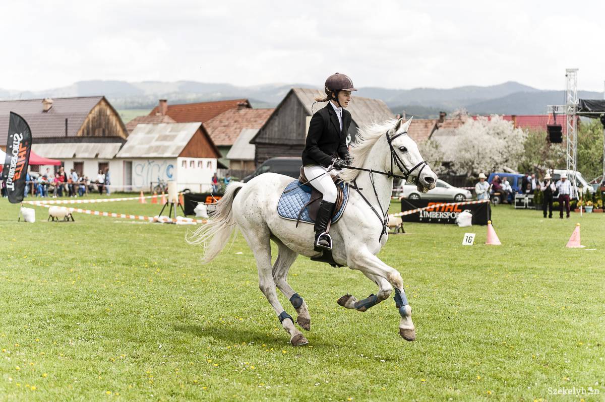 &bullet;  Fotó: Gecse Noémi