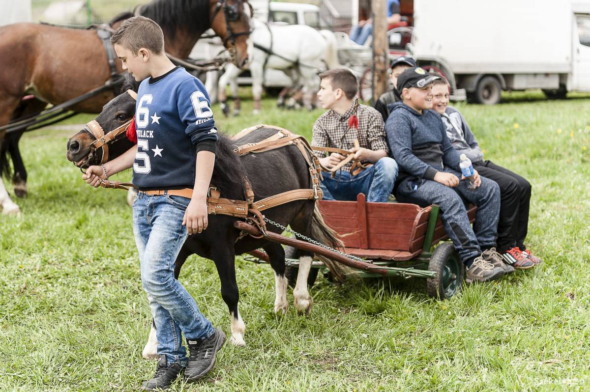 &bullet;  Fotó: Gecse Noémi