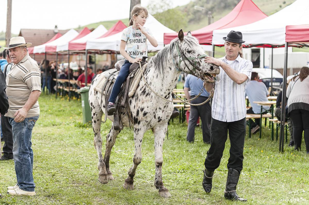 &bullet;  Fotó: Gecse Noémi