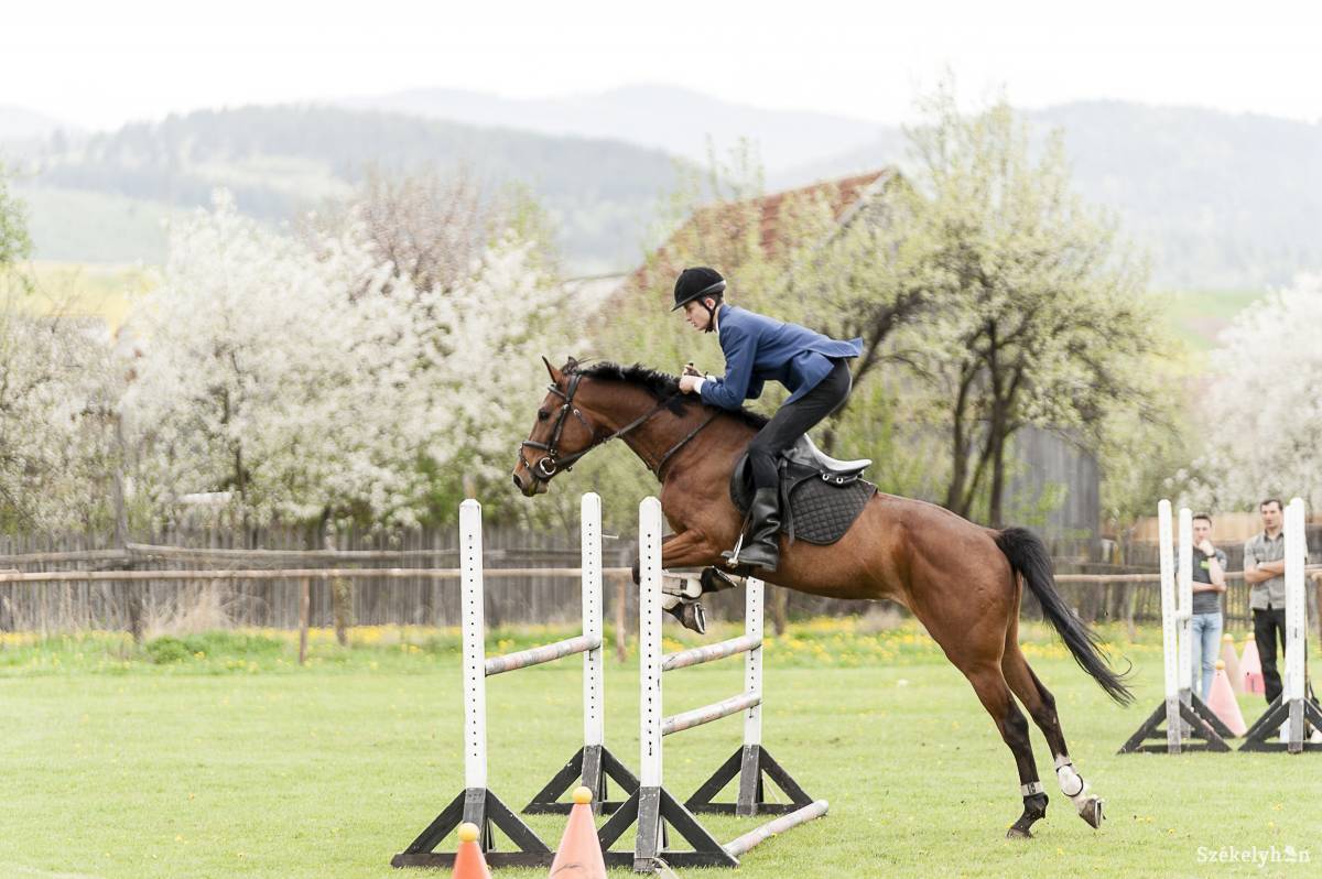 &bullet;  Fotó: Gecse Noémi